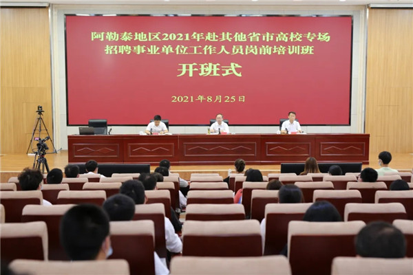 阿勒泰市统计局最新招聘公告概览